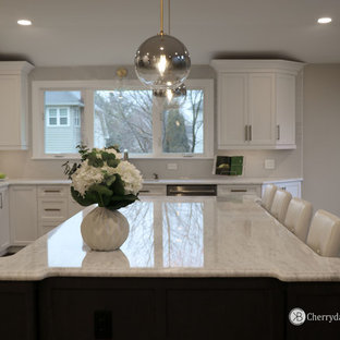 CherryDale Kitchen & Bath by Top Builders LLC Arlington, Virginia, United States Project Review & Ratings