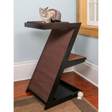 for cats