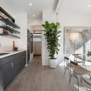MILL VALLEY DIGZ700 ADU, LOVELL AVENUE https://digz2go.com/