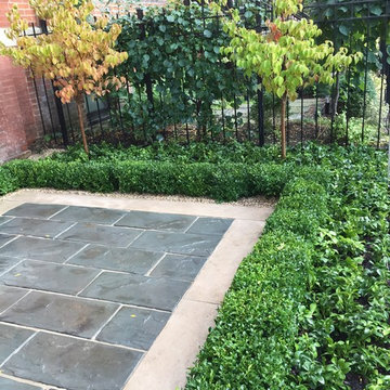 Contemporary Urban Gardens