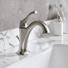 Arlo Single Handle 1-Hole Bathroom Basin Faucet, Lift Rod Drain, SFS Steel