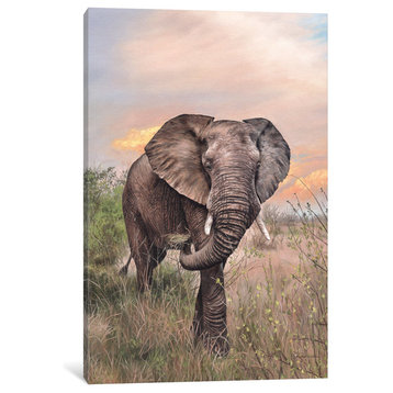 African Elephant by Rachel Stribbling Canvas Print, 18"x12"x1.5"