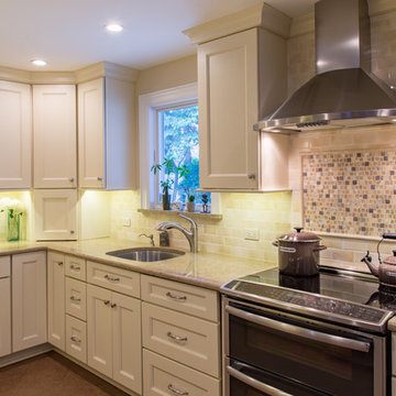 White Chocolate Transitional