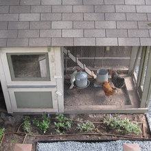 chicken coop