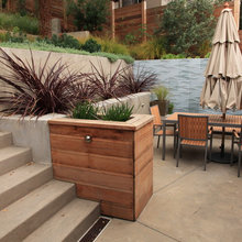 plantings