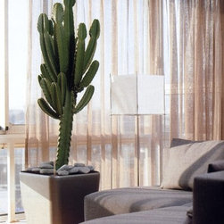 Modern Planter - Products