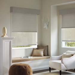 Traditional Beige Living Room Custom Window Roller Shades by Hunter Douglas - Roller Shades