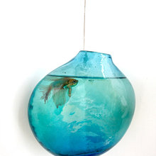 Fish Tanks ^.^