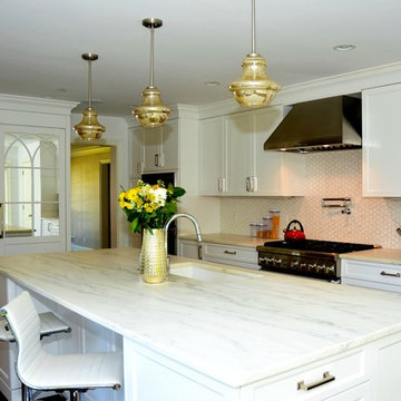 Stunning White Transitional Kitchen