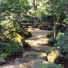 Shade Garden