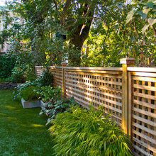 Backyard ideas