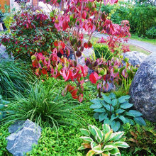 Schattengarten