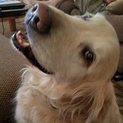 Nancy Klassen's photo