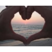 Alice Finley's photo