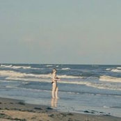 Foto di Brandy Ormsby