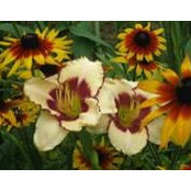 Wendy Mathews's photo