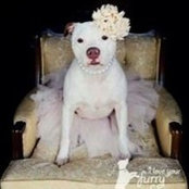 Terry Butler's photo