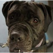 Dk Ravencraft's photo