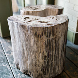 Petrified Wood Online Store - Furniture