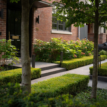 Contemporary Garden
