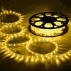 DELight 150' 2-Wire LED Rope Light Holiday Decor Indoor/Outdoor, Warm White