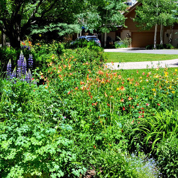 Sustainable Gardens