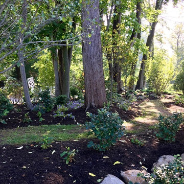 Villanova Plant Design and Install
