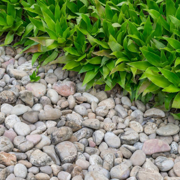 Landscaping - Mulch & Decorative Stone