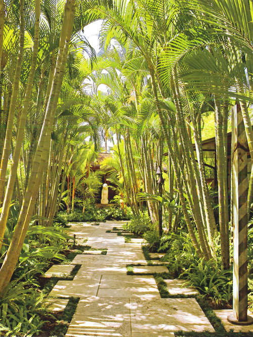 Bamboo Walkway Ideas, Pictures, Remodel and Decor