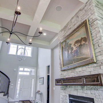 Theater Room and Whole Home Audio