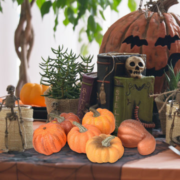 Serene Spaces Living Set of 12 Decorative Mini Pumpkins, 2.2" Diameter & 4"H