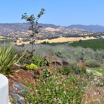Deer Resistant and Slope Stablizing Plantings for Residential Winery