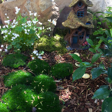 Montecito Fairy Garden