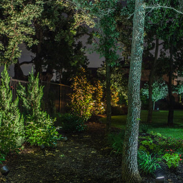 Low Voltage Up Lighting and Moon Lighting- Southlake