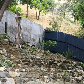 Sculptural Canyon Garden with Low Water Succulents