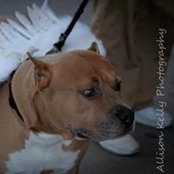 Foto von Tina Young