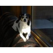 Ginger Asleson's photo