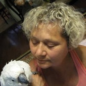 Vicki Sanger's photo