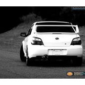 Vlad Damaskin's photo