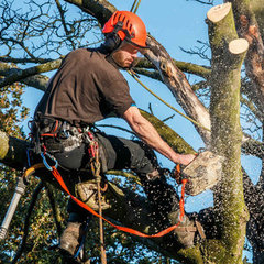 TJ's Tree Service