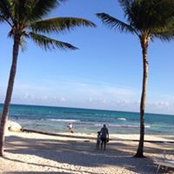 Foto von Shamima Loonat