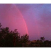 Dina Morrone Araneo's photo