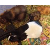Pam Daffern's photo
