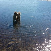 Karen Blakely's photo