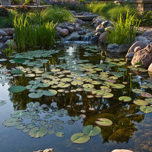 natural pools