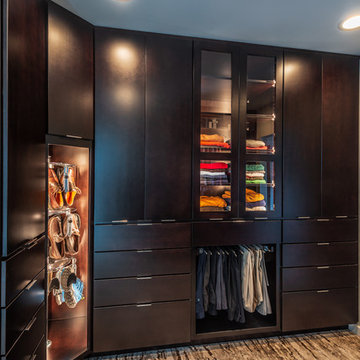 Modern Custom Closet and Built-Ins