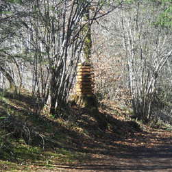 Grain de bois - Photographie