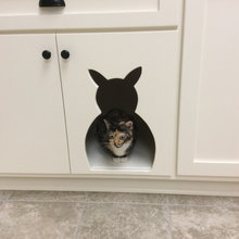 Cat Spaces