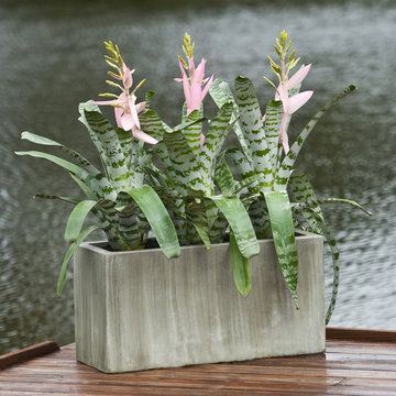 Palm Beach Container Gardens