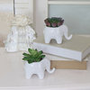Set Of 2 Ceramic Elephant-Empty